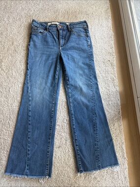 Pilcro and  the Letterpress -high-rise flare sz 28